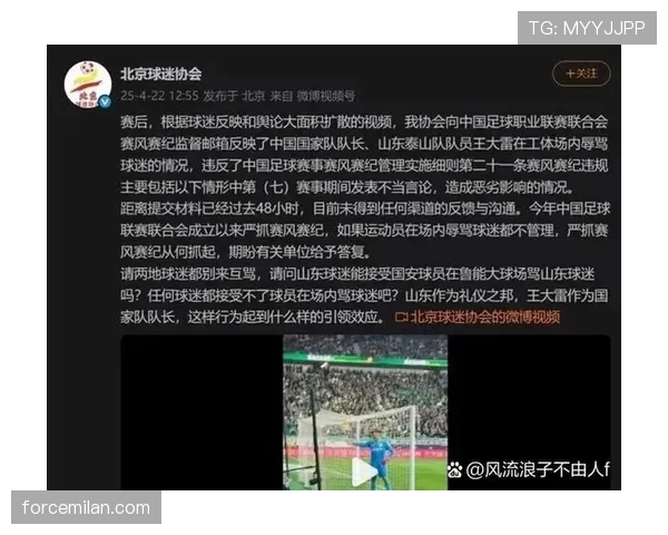 裁判报告在足球规则中的作用及判罚标准解析